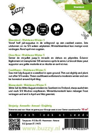 Bloemkool Walcheren Winter 5 - Zaden