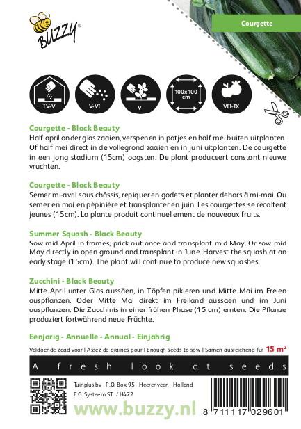 Courgette Black Beauty - Verte De Milan - Zaden