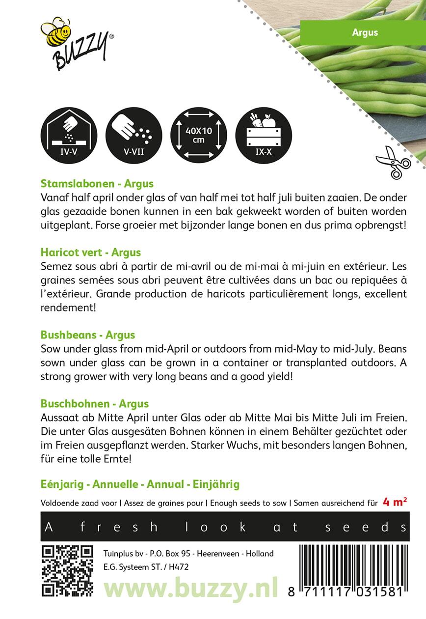 Stamslabonen Haricot Vert Argus - Zaden