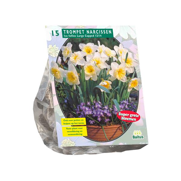 Narcis Ice Follies - 15 stuks - Bloembollen