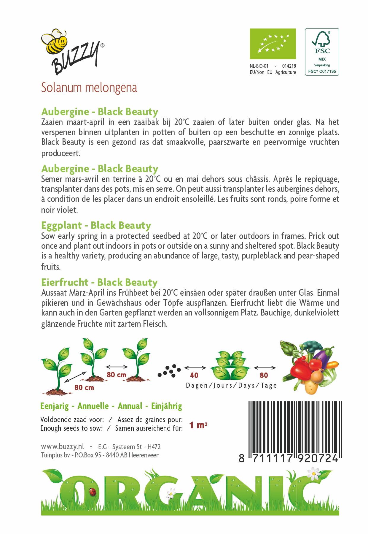 Aubergine Black Beauty (BIO) - Zaden