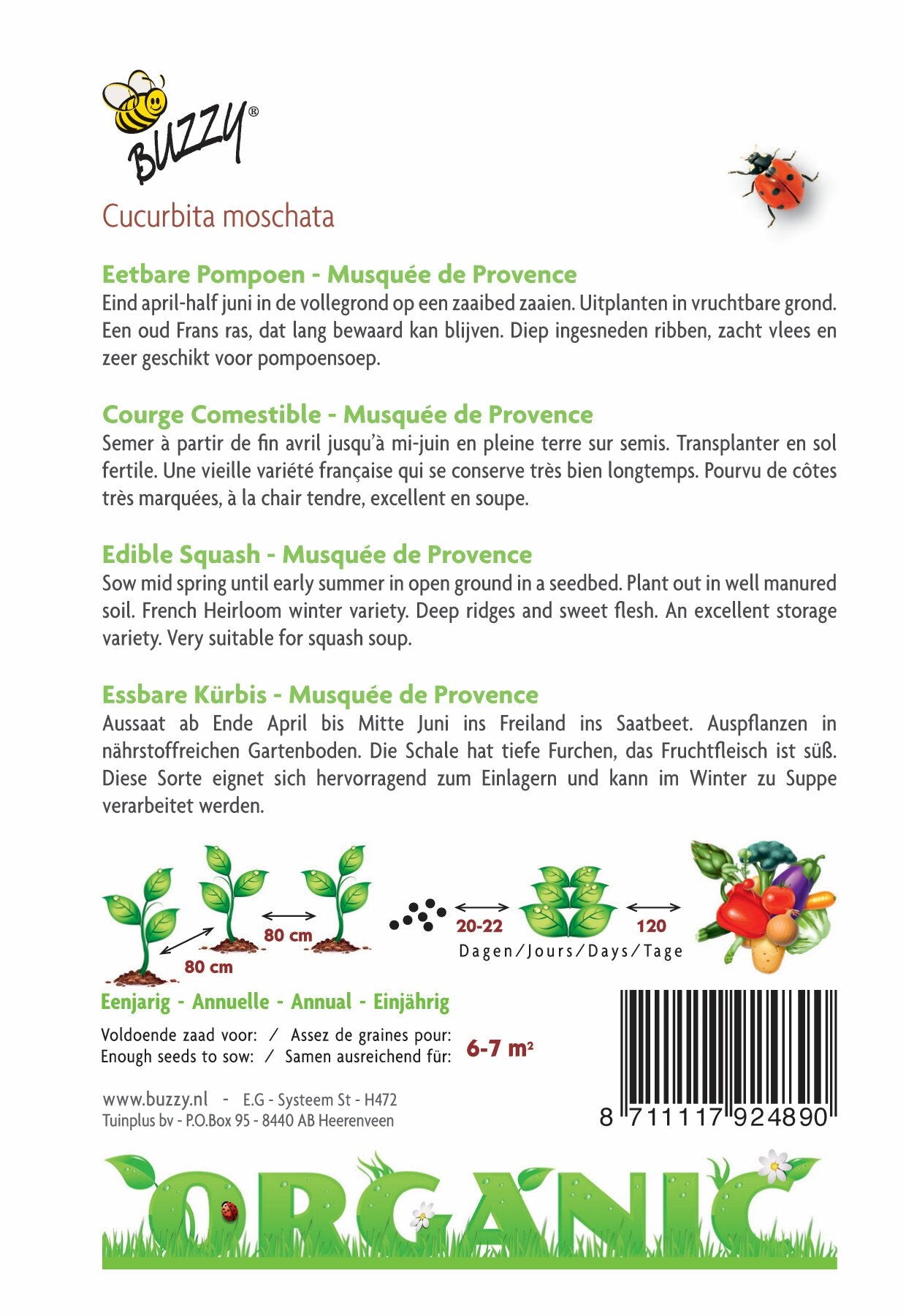 Eetbare Pompoen Musquée de Provence (BIO) - Zaden
