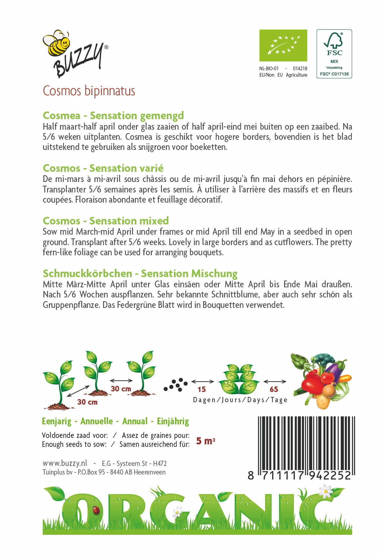 Cosmos Sensation (BIO) - Graines