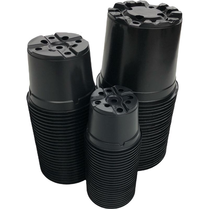 Kweekpakket klein 5 -