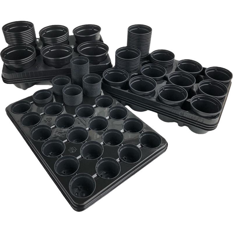 Kweekpakket middel 5 -