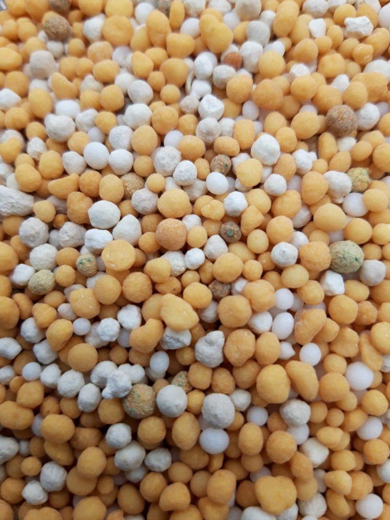 Sedum Conditioner - Groendak