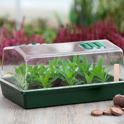 Serre ventilée, H18x37,5x24cm