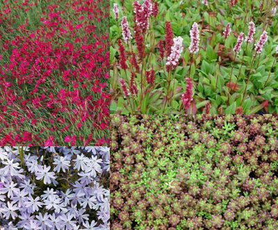 Bordure de sol en kit (1,5 m²)