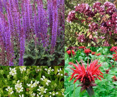 Emballage fantaisie pour bordures (1,5 m²)