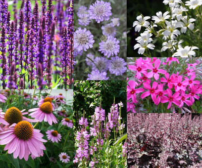 Bordure assortie colorée (3,5 m²)