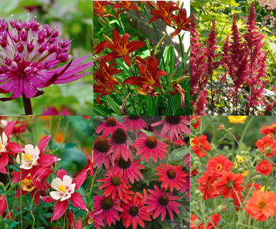 Paquet de bordure rouge (3m2)