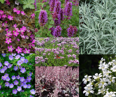 Bordure de jardin très longue (3,5 m²)