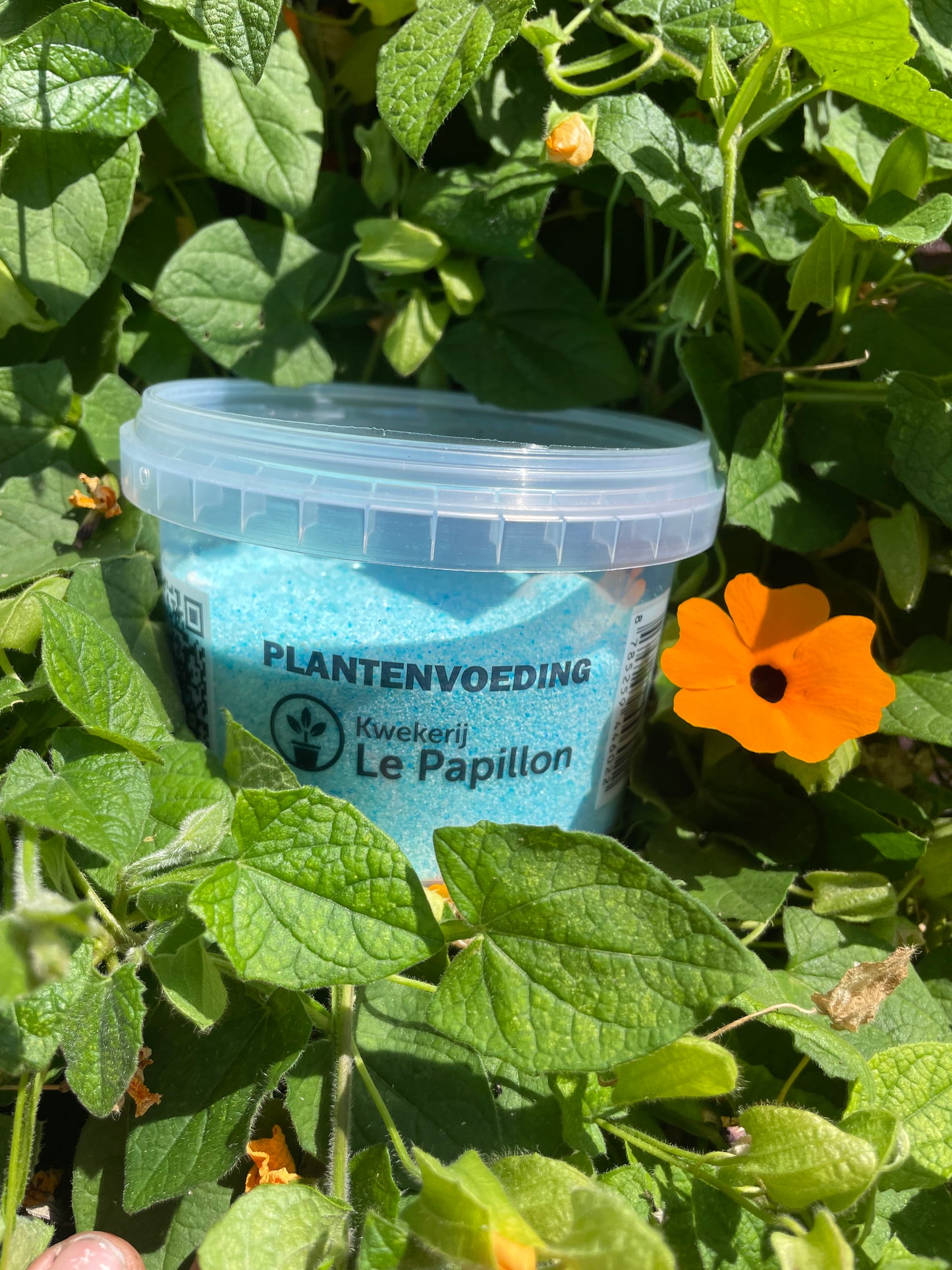Turbo plantenvoeding 500g - Grond en Meststoffen