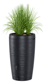 Récupérateur d'eau de pluie, structure en bois noir, 240 L