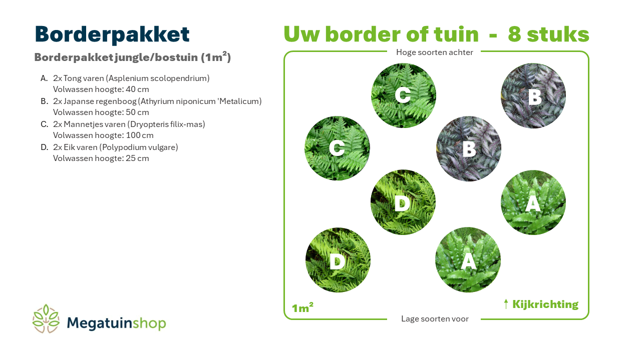 Borderpakket jungle/bostuin (1m2) - Tuinplanten