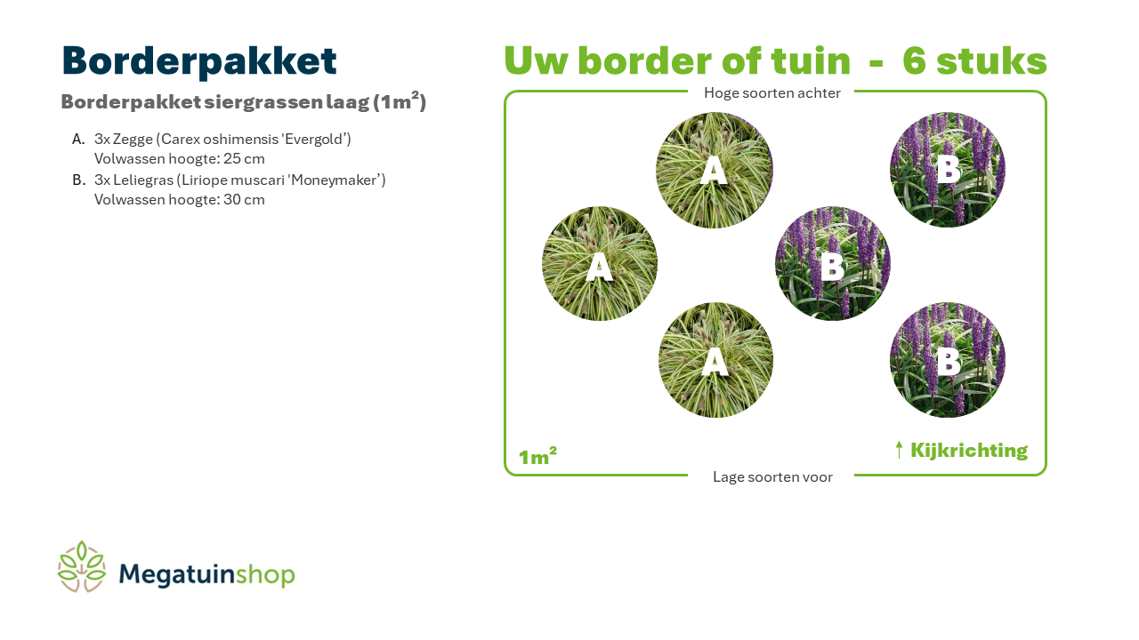 Borderpakket siergrassen laag (1m2) - Tuinplanten