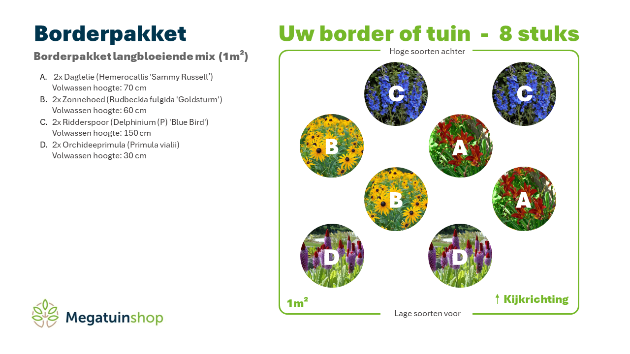 Borderpakket langbloeiende mix (1m2) - Tuinplanten