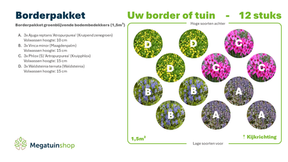 Borderpakket groenblijvende bodembedekkers (1,5m2) - Tuinplanten