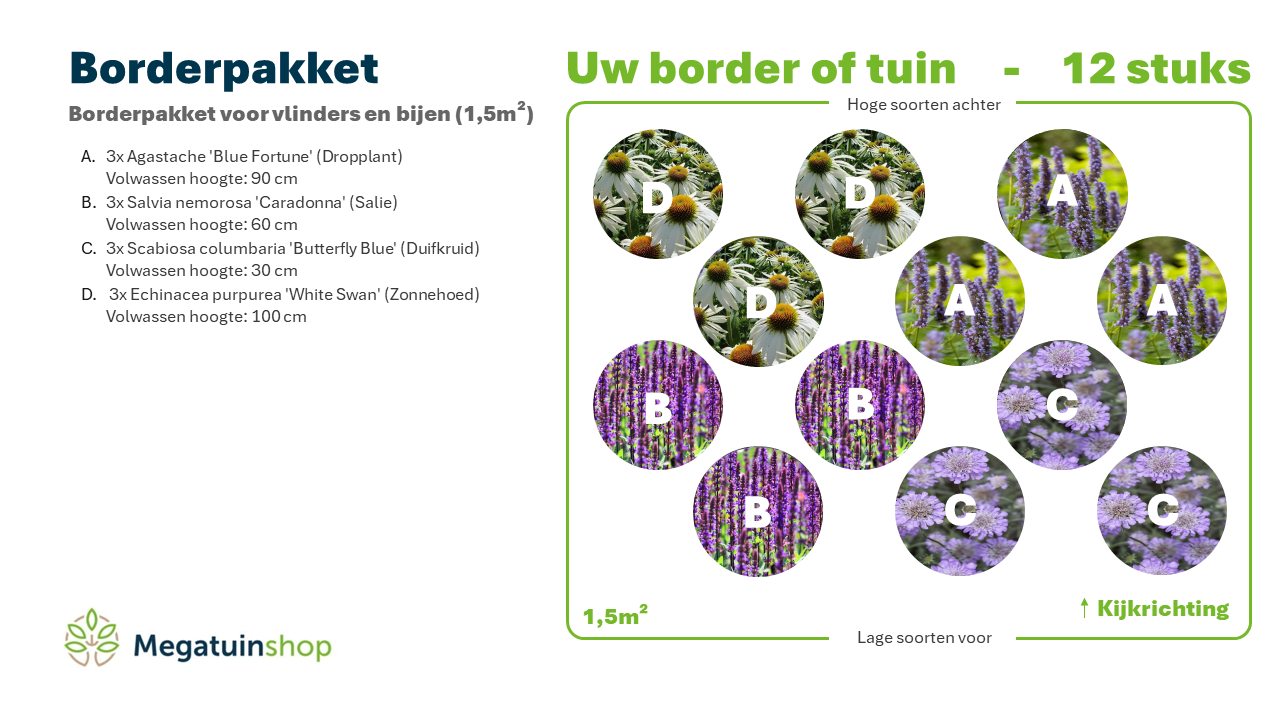 Borderpakket voor vlinders en bijen (1,5m2) - Tuinplanten