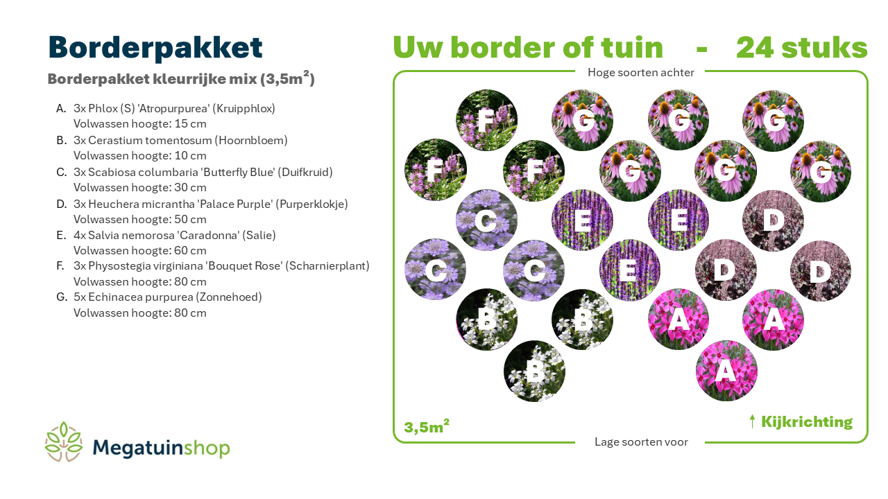 Borderpakket kleurrijke mix (3,5m2) - Tuinplanten