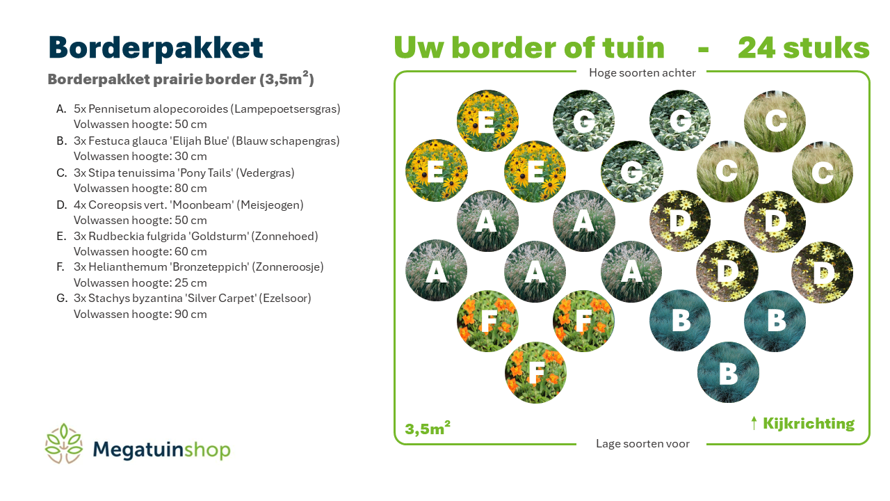Borderpakket prairie border (3,5m2) - Tuinplanten