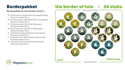 Borderpakket prairie border (3,5m2) - Tuinplanten