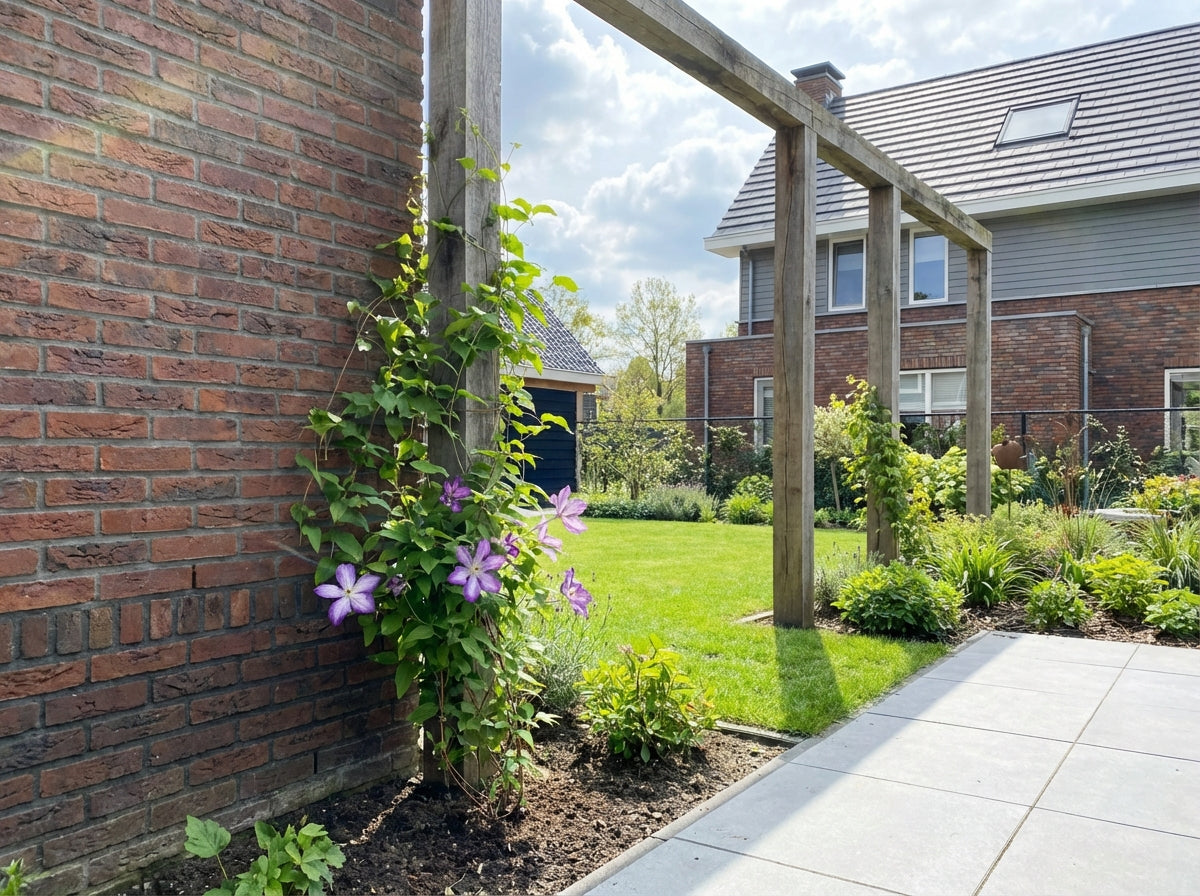 Klimplant Clematis Pernille PBR (Bosrank) - Klimplanten