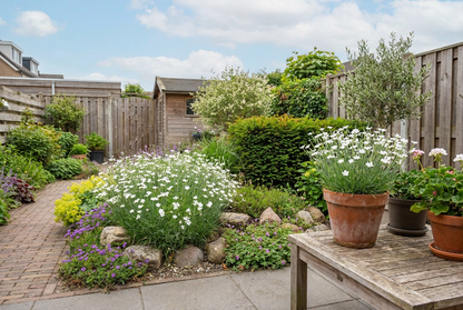 Steenanjer (Dianthus deltoides 'Albiflorus') - Tuinplanten