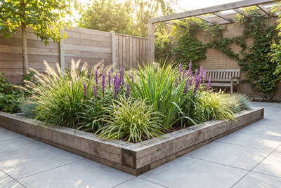 bordure de graminées ornementales persistantes (1m2)