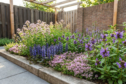 Bordure pour abeilles (1,5 m²)