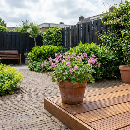 Ooievaarsbek (Geranium cantabrigiense 'Karmina') - Tuinplanten
