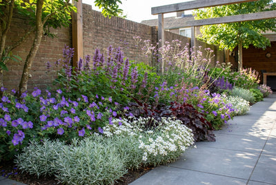 Bordure de jardin très longue (3,5 m²)
