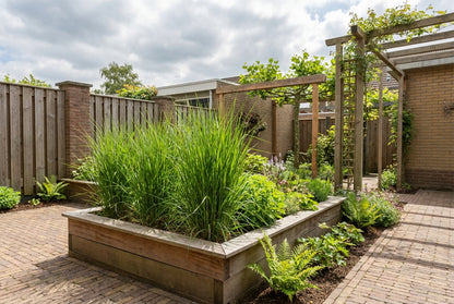 Struisriet (Calamagrostis 'Karl Foerster') - Struisriet