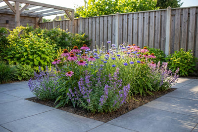 Bordure pour papillons (1,5 m²)