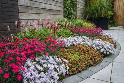 Bordure de sol en kit (1,5 m²)