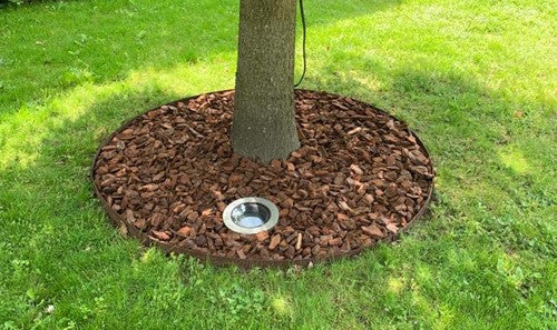 Kantopsluiting boomring - borderranden