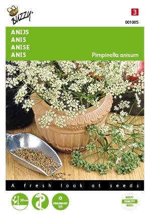 Anijs - Zaden