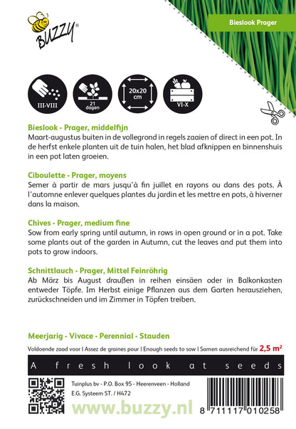 Bieslook Fijne - Zaden