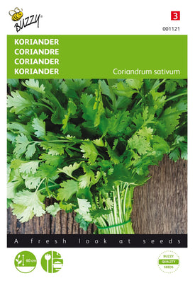 Coriandre à grosses graines