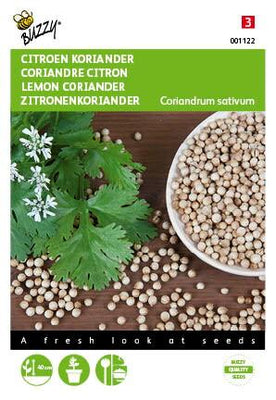 Coriandre Citron faible