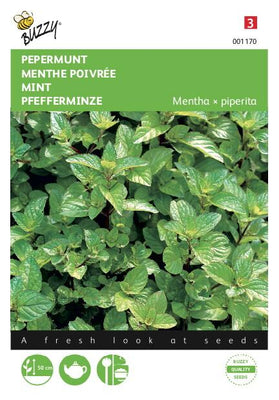 Menthe poivrée