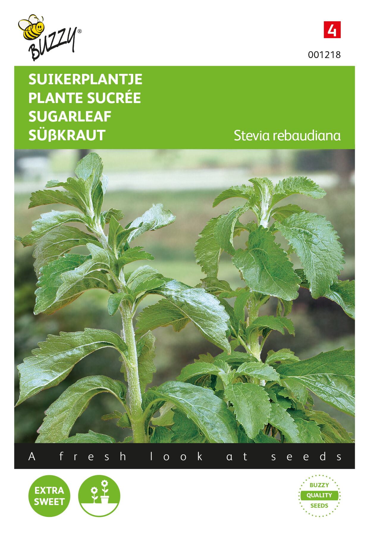 Stevia, Suikerplantje of Honingkruid - Zaden