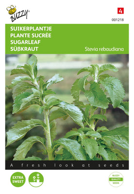 Stévia, plante sucrière ou herbe à miel
