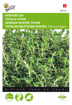 Thyme Real Winter