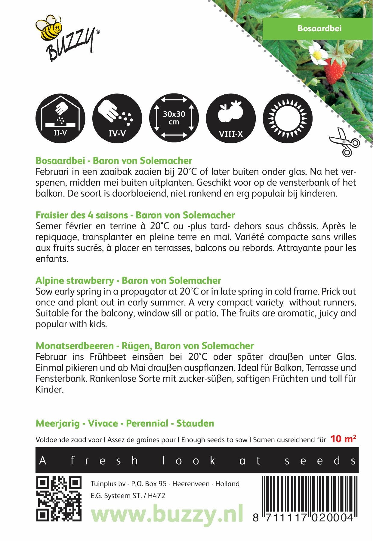 Bosaardbei Baron von Solemacher - Zaden