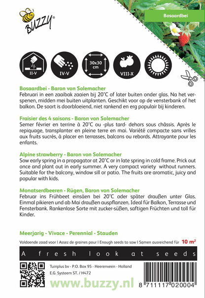 Bosaardbei Baron von Solemacher - Zaden