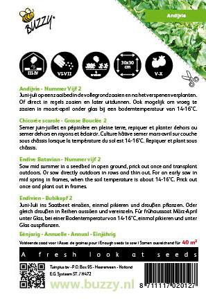 Andijvie Nummer Vijf - Zaden