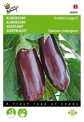 Aubergine Violetta Lunga 2