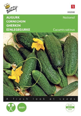 Pickle National, Petit Vert