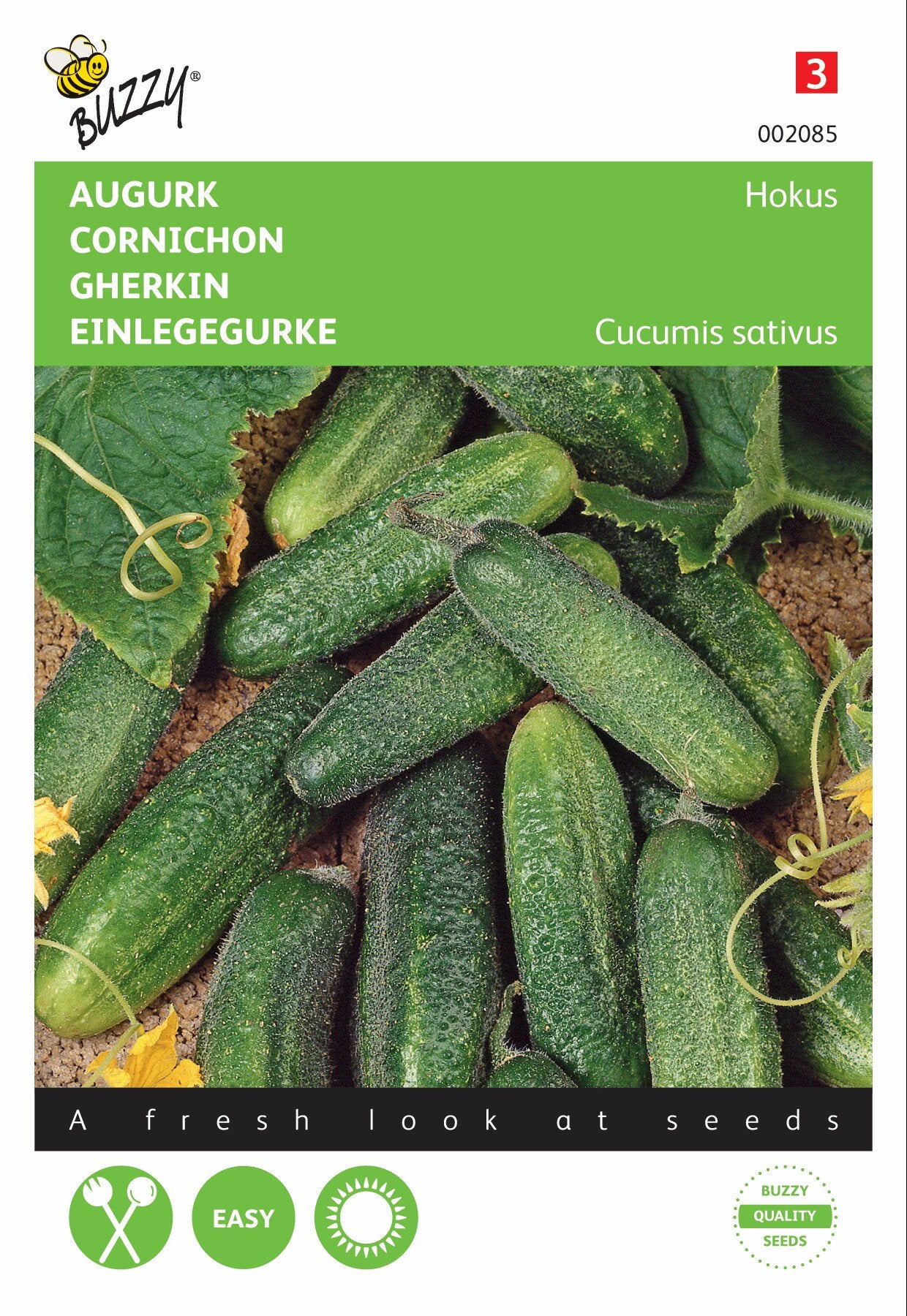 Augurk Hokus - Zaden